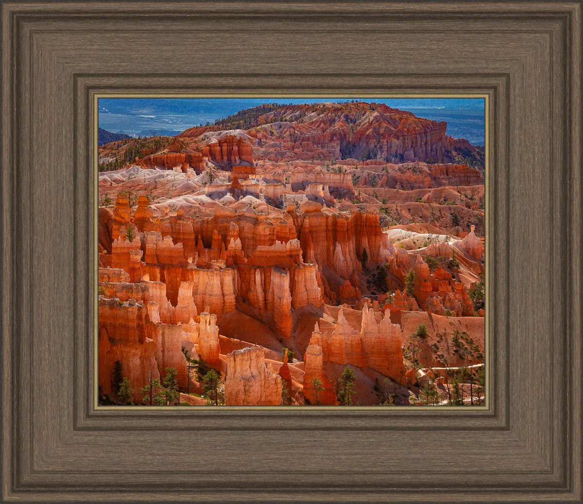 The Hoodoos of Bryce Canyon National Park, Utah