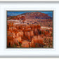 The Hoodoos of Bryce Canyon National Park, Utah