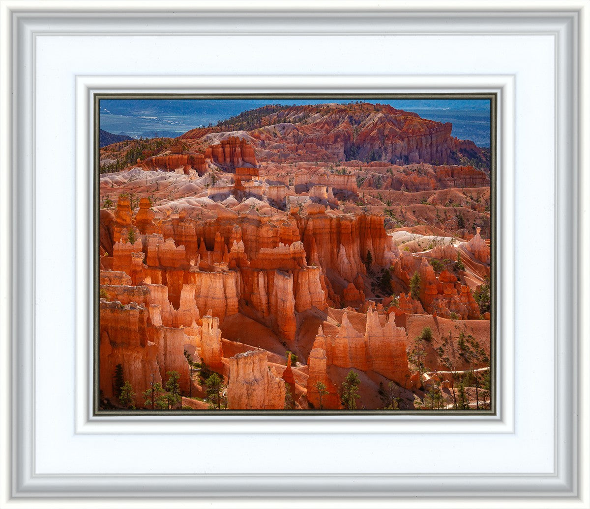 The Hoodoos of Bryce Canyon National Park, Utah
