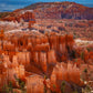 The Hoodoos of Bryce Canyon National Park, Utah