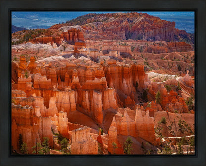 The Hoodoos of Bryce Canyon National Park, Utah