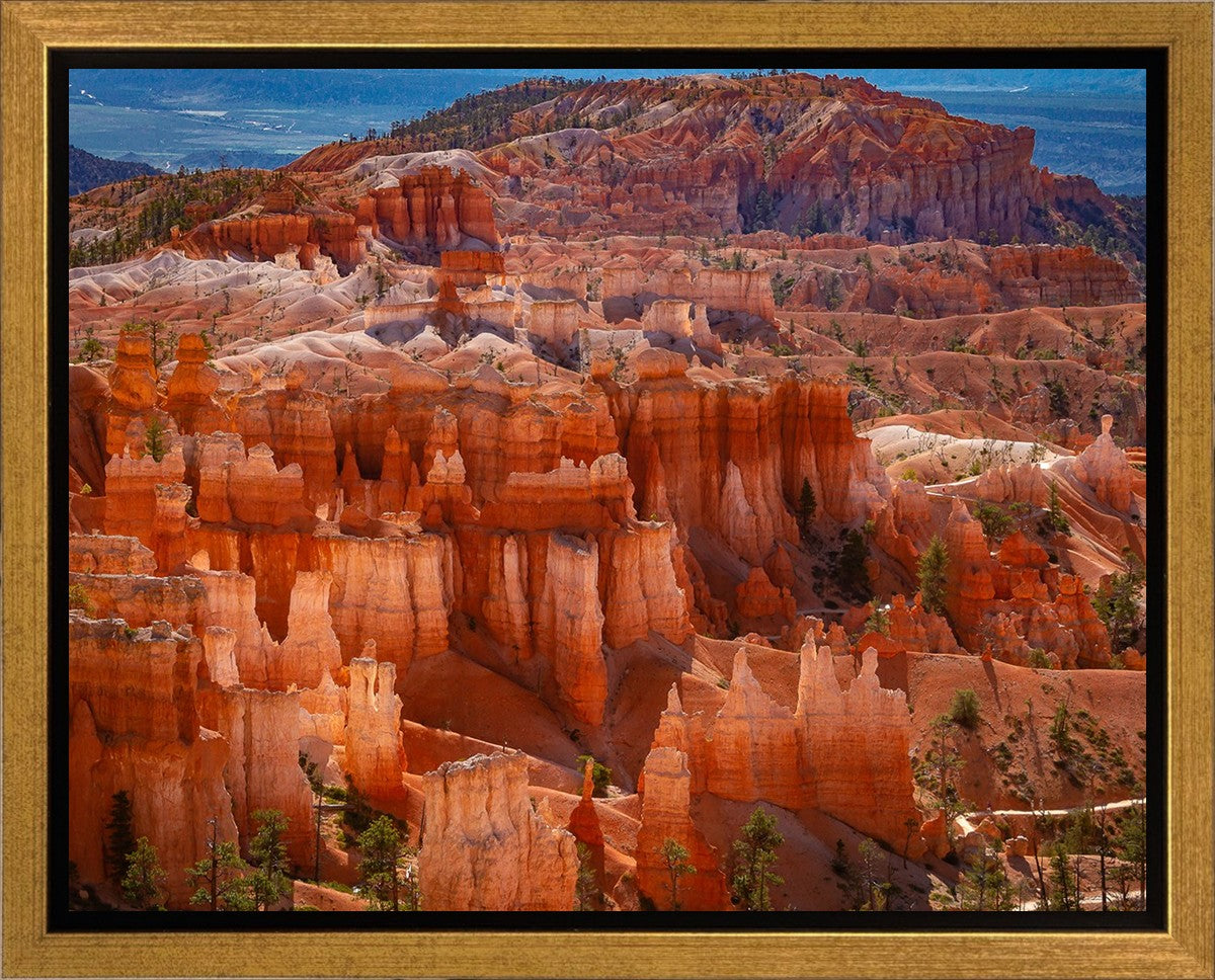The Hoodoos of Bryce Canyon National Park, Utah