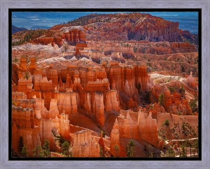 The Hoodoos of Bryce Canyon National Park, Utah
