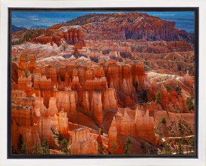 The Hoodoos of Bryce Canyon National Park, Utah