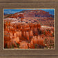 The Hoodoos of Bryce Canyon National Park, Utah