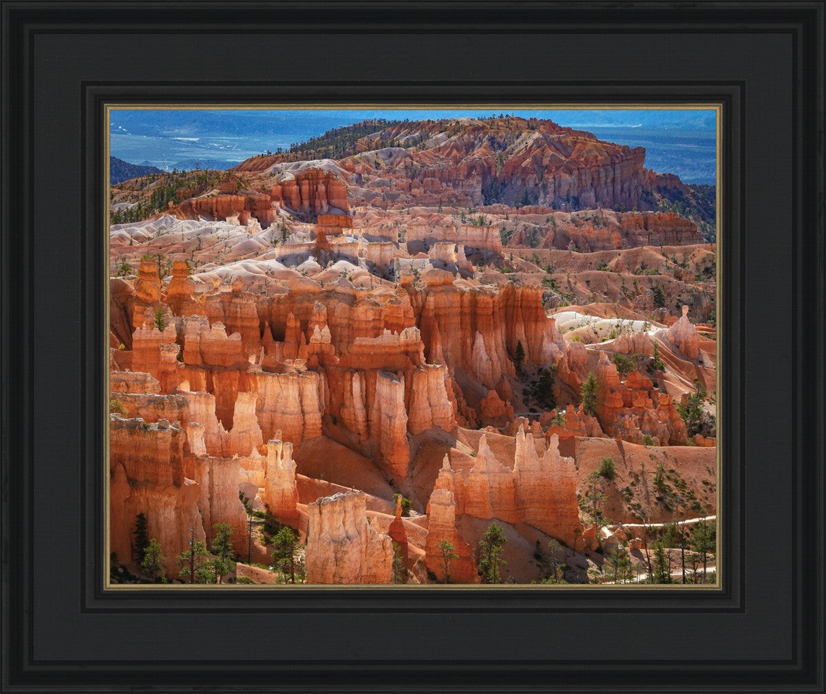 The Hoodoos of Bryce Canyon National Park, Utah