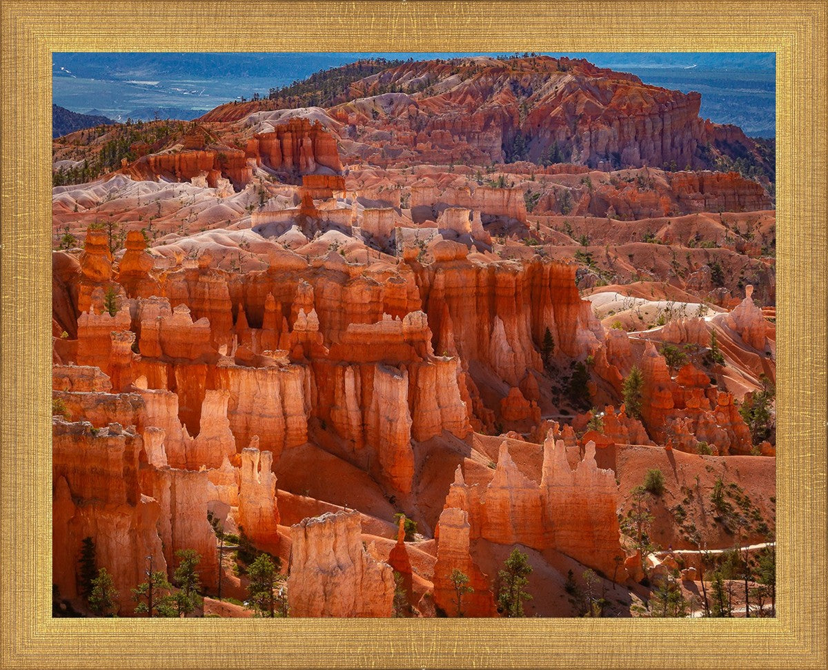 The Hoodoos of Bryce Canyon National Park, Utah