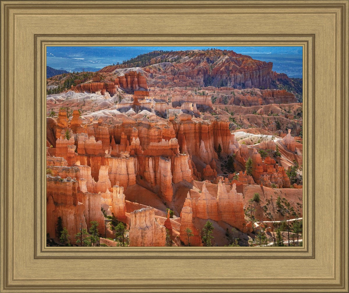 The Hoodoos of Bryce Canyon National Park, Utah
