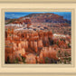 The Hoodoos of Bryce Canyon National Park, Utah