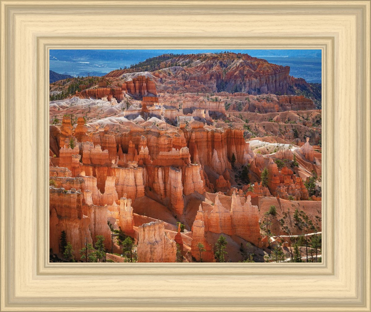 The Hoodoos of Bryce Canyon National Park, Utah