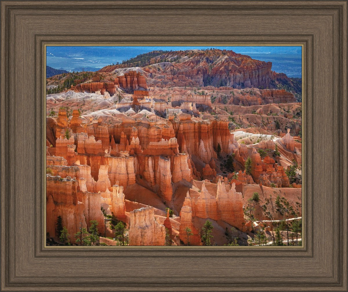 The Hoodoos of Bryce Canyon National Park, Utah