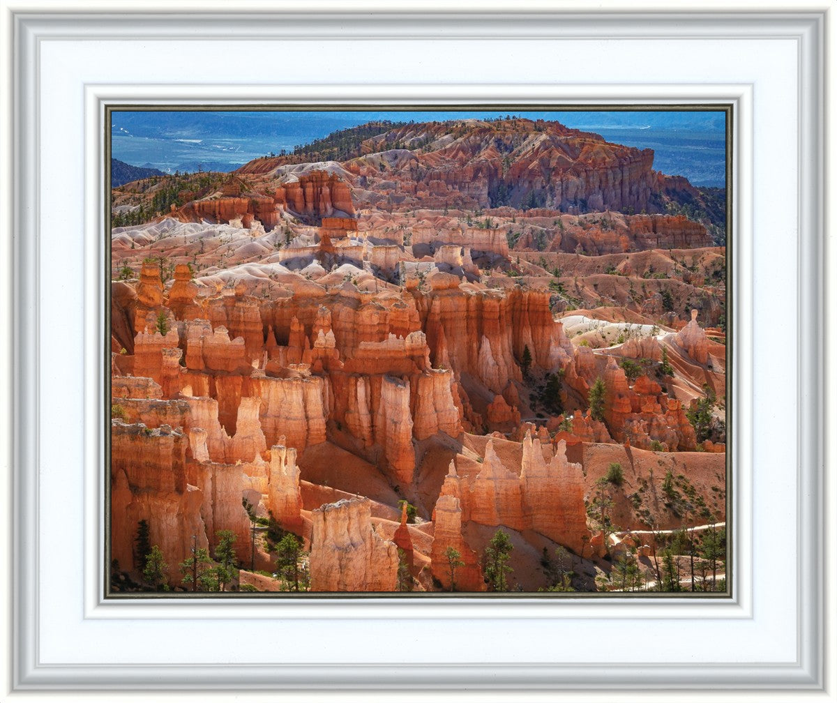 The Hoodoos of Bryce Canyon National Park, Utah