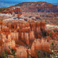 The Hoodoos of Bryce Canyon National Park, Utah