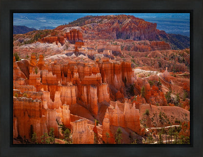 The Hoodoos of Bryce Canyon National Park, Utah