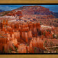 The Hoodoos of Bryce Canyon National Park, Utah