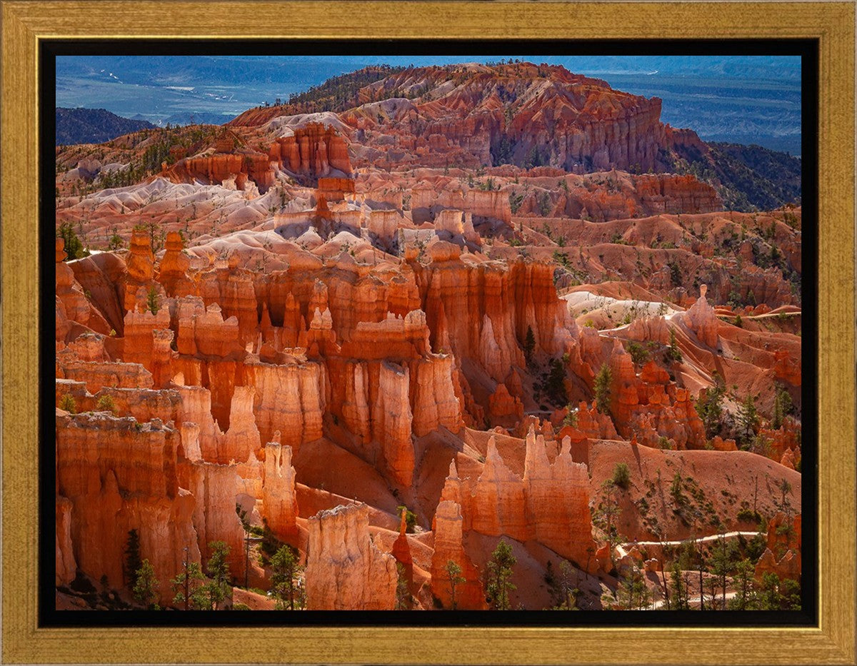The Hoodoos of Bryce Canyon National Park, Utah