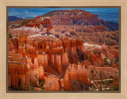 The Hoodoos of Bryce Canyon National Park, Utah