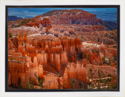 The Hoodoos of Bryce Canyon National Park, Utah