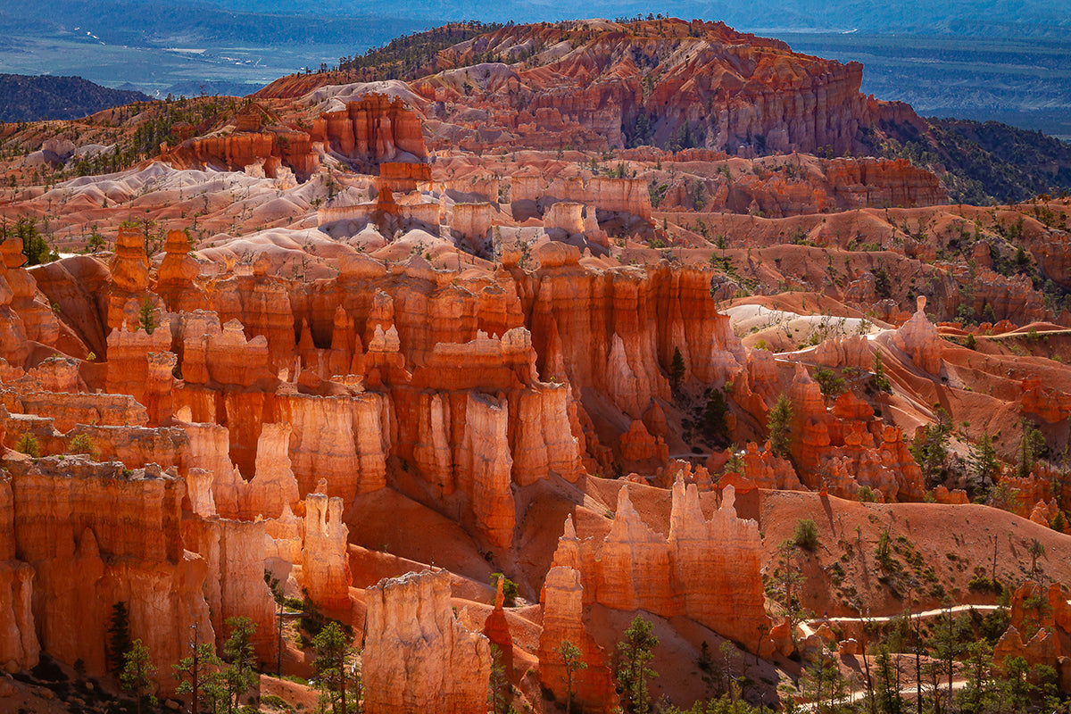 The Hoodoos of Bryce Canyon National Park, Utah