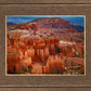 The Hoodoos of Bryce Canyon National Park, Utah