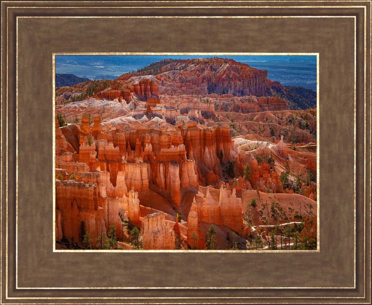 The Hoodoos of Bryce Canyon National Park, Utah