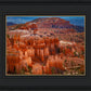 The Hoodoos of Bryce Canyon National Park, Utah
