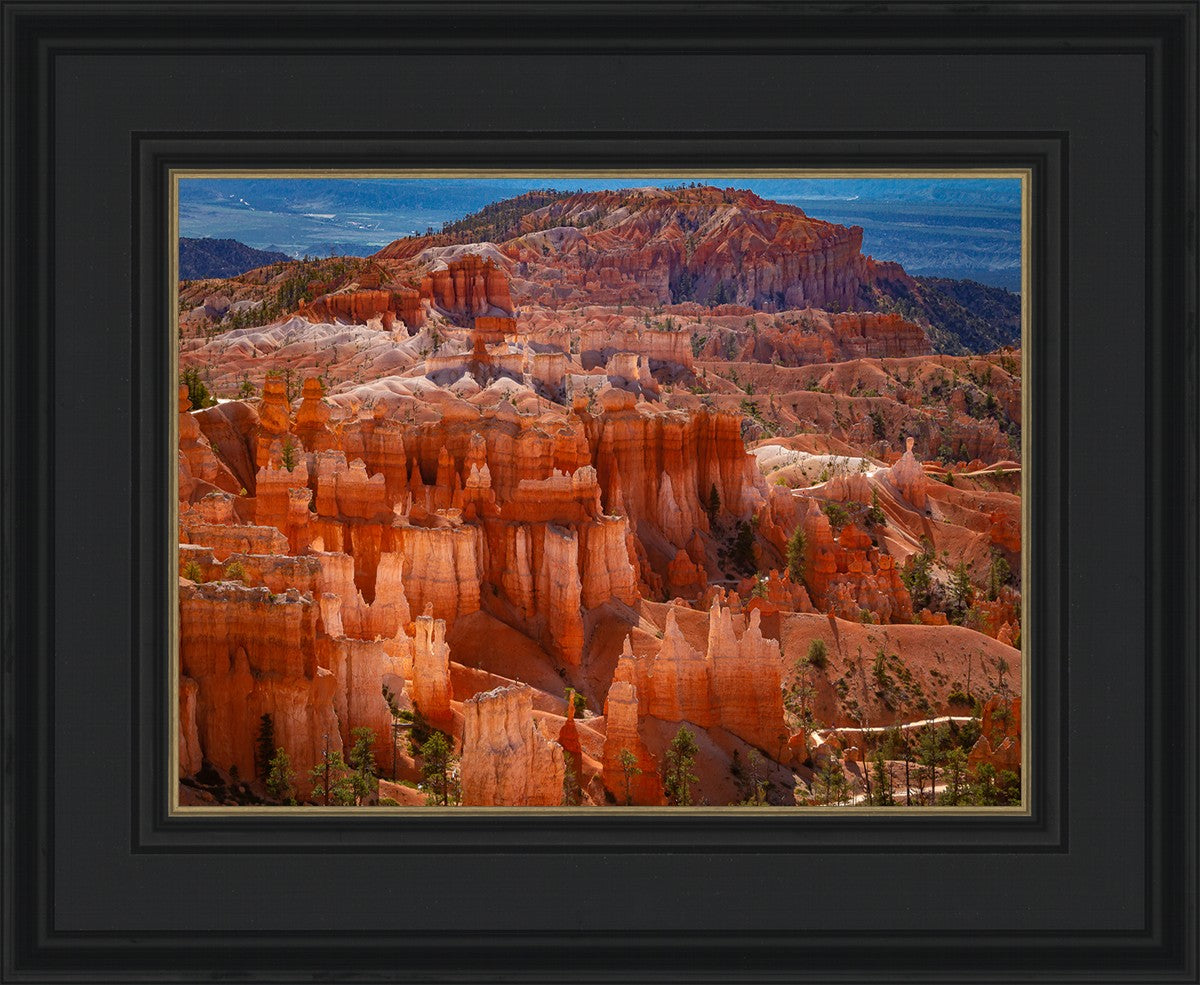 The Hoodoos of Bryce Canyon National Park, Utah