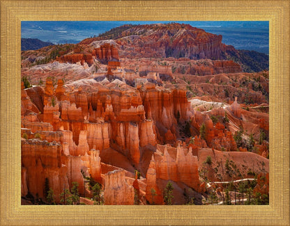The Hoodoos of Bryce Canyon National Park, Utah