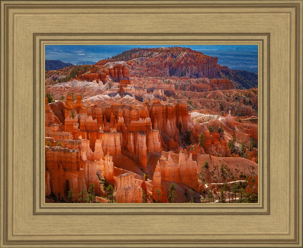 The Hoodoos of Bryce Canyon National Park, Utah