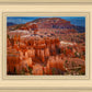 The Hoodoos of Bryce Canyon National Park, Utah