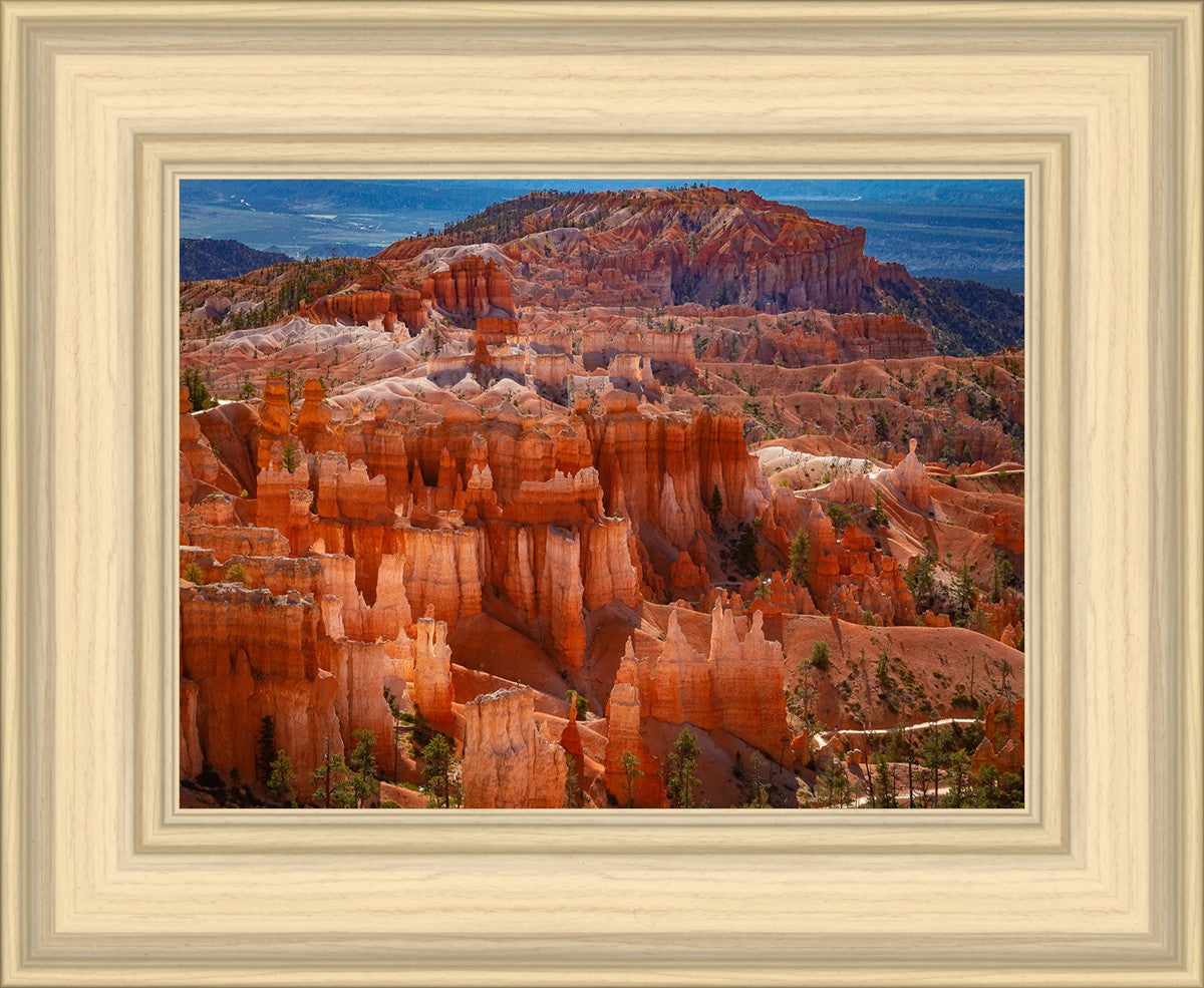The Hoodoos of Bryce Canyon National Park, Utah