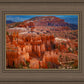 The Hoodoos of Bryce Canyon National Park, Utah