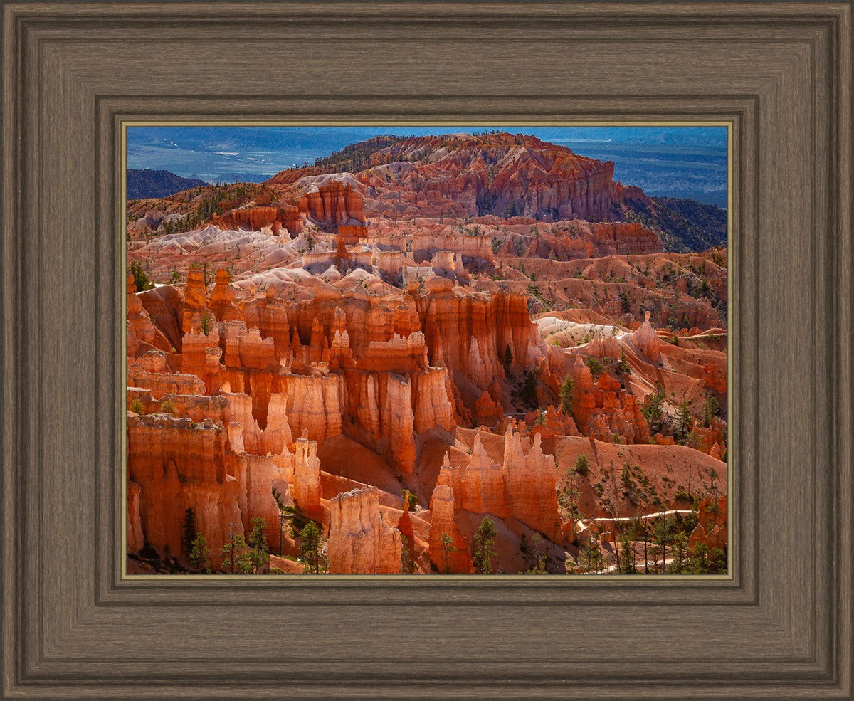 The Hoodoos of Bryce Canyon National Park, Utah