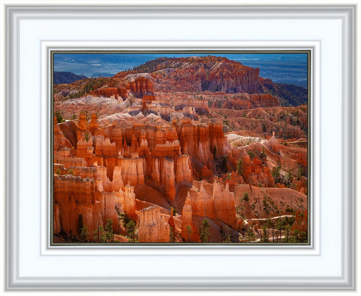 The Hoodoos of Bryce Canyon National Park, Utah
