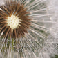 Look Around You Motivisional Poster