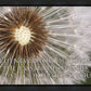 Look Around You Motivisional Poster