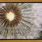 Look Around You Motivisional Poster