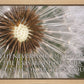 Look Around You Motivisional Poster