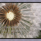 Look Around You Motivisional Poster