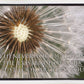 Look Around You Motivisional Poster