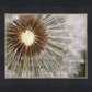 Look Around You Motivisional Poster