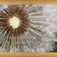 Look Around You Motivisional Poster