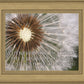 Look Around You Motivational Poster