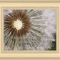 Look Around You Motivational Poster