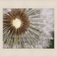 Look Around You Motivisional Poster