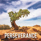 Perseverance Motivisional Poster