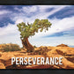 Perseverance Motivisional Poster