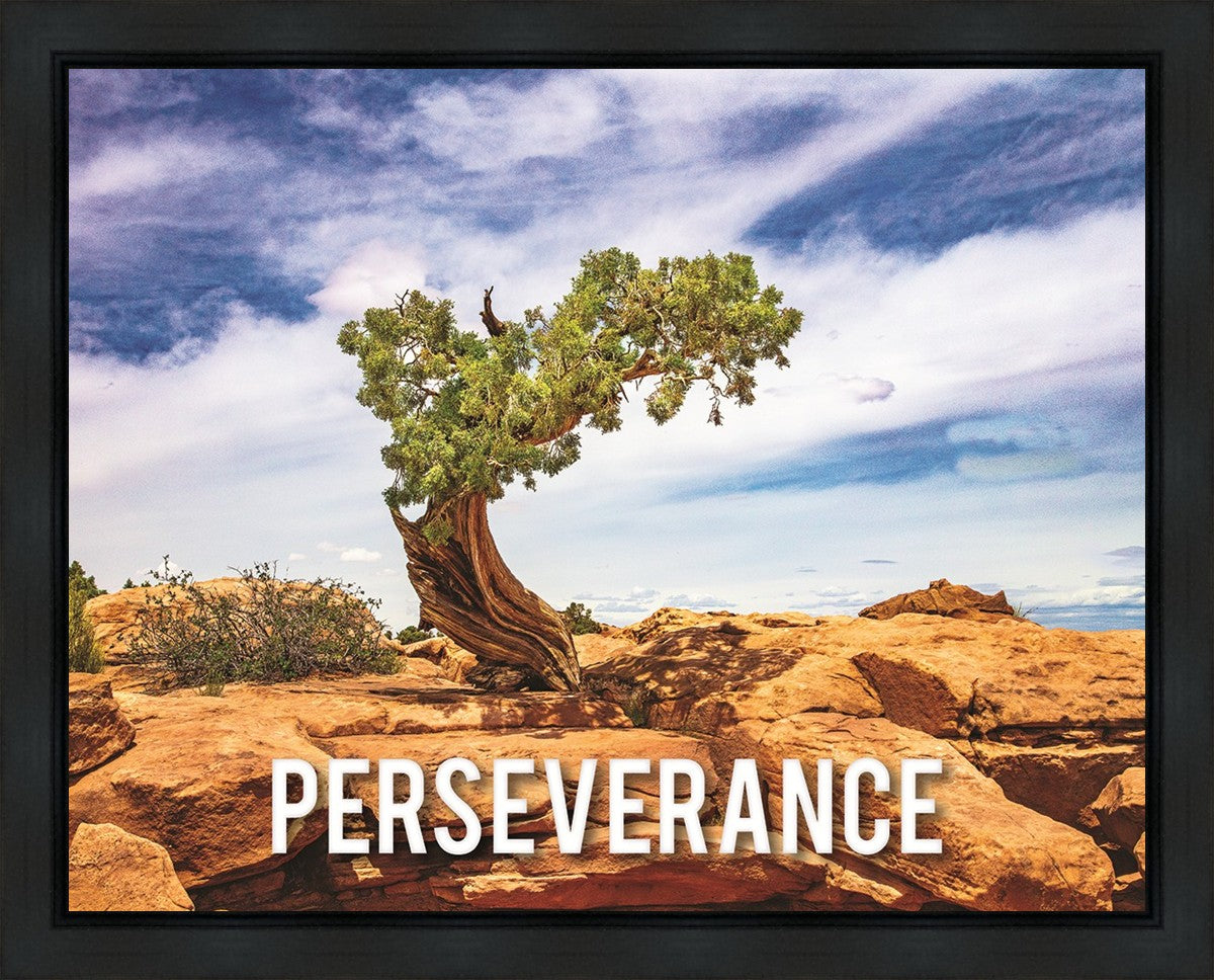 Perseverance Motivisional Poster