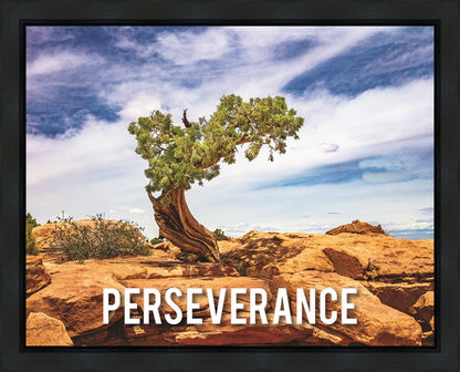 Perseverance Motivisional Poster