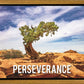 Perseverance Motivisional Poster